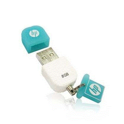 تصویر  فلش مموری پاک کنی HP 175 با ظرفیت 8GB