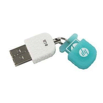 تصویر  فلش مموری پاک کنی HP 175 با ظرفیت 8GB