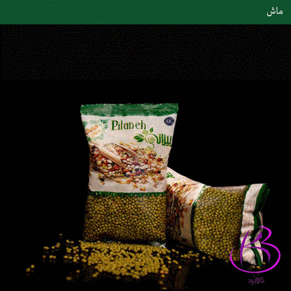 تصویر  ماش درشت درجه یک صادراتی