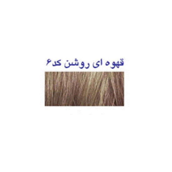 تصویر  پودر پرپشت کننده مو پرفکت کد 06 رنگ قهوه ای روشن وزن 25 گرم