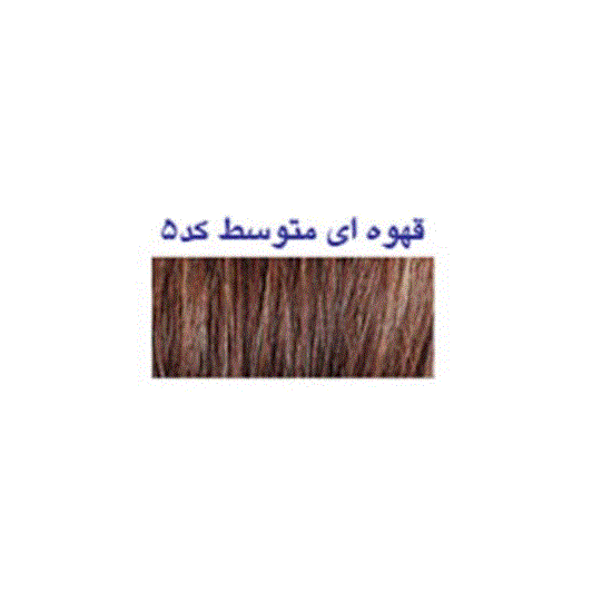 پودر پرپشت کننده مو پرفکت