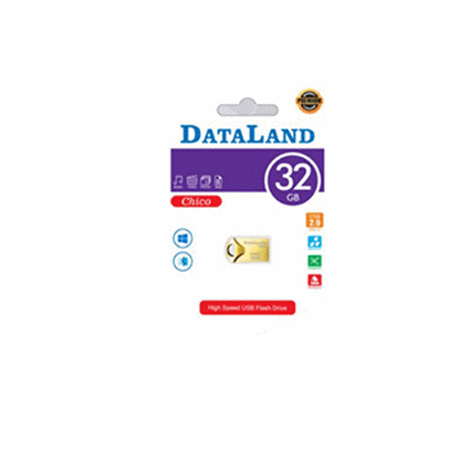 تصویر  فلش مموری دیتالند مدل Chico ظرفیت 32GB (گلد)