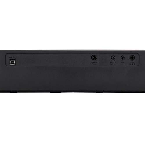 s100 compact digital