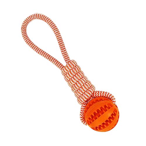 تصویر  اسباب بازی سگ و گربه مدل توپ تشویقی و کنف بایوموزارا نارنجی