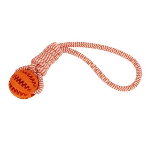 تصویر  اسباب بازی سگ و گربه مدل توپ تشویقی و کنف بایوموزارا نارنجی