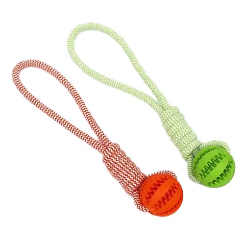 تصویر  اسباب بازی سگ و گربه مدل توپ تشویقی و کنف بایوموزارا نارنجی