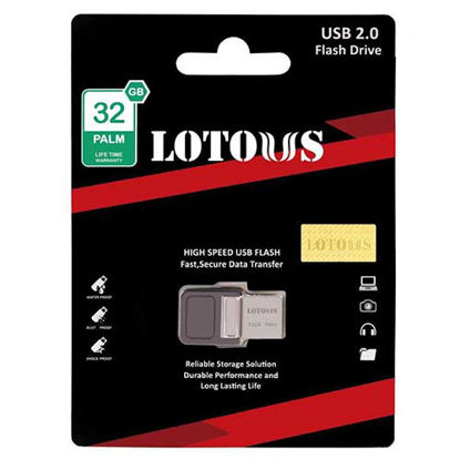 فلش مموری PALM